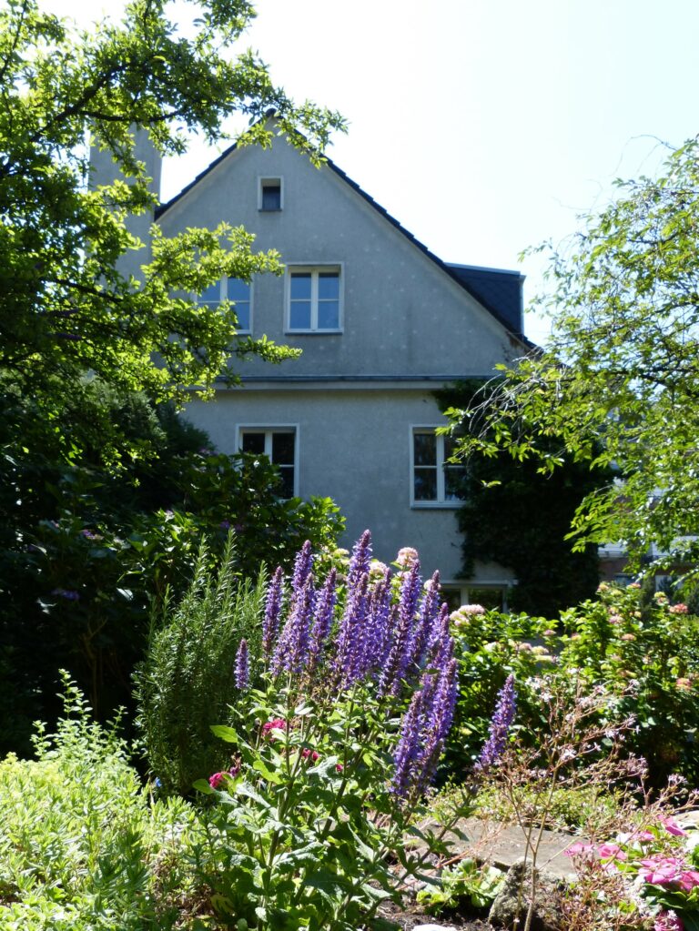 Die Backhaus-Nachrichten 3/2026