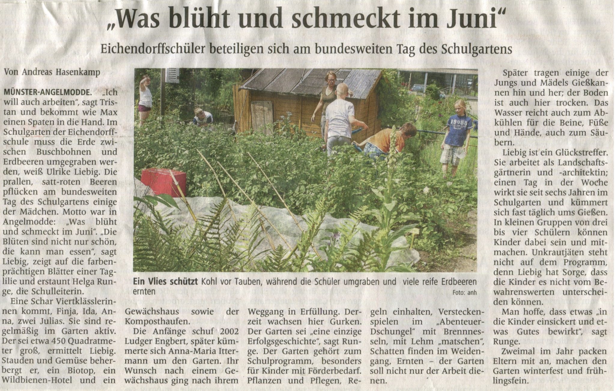 Was blüht und schmeckt im Juni (Westfälische Nachrichten, 22.06.2017)