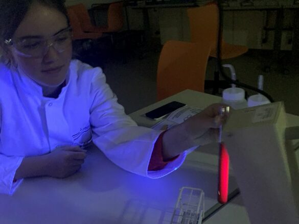 Eine Schülerin hält ein mit Chlorophyll gefülltes Reagenzglas unter eine UV-Licht-Lampe. Dieses leuchtet rot.