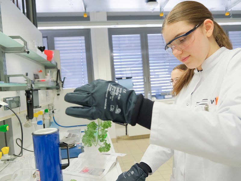 2025-girlsday-wwu-chemie-1 Die Schülerinnen führen verschiedene Experimente durch, bei denen sich Stoffe entzünden.