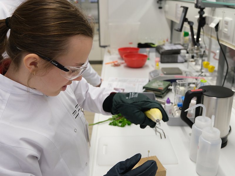 2025-girlsday-wwu-chemie-11 Durchführung spannender Experimente im Labor in vollen Montur: Kittel, Schutzbrille und Handschuhe