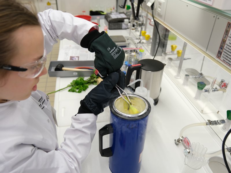 2025-girlsday-wwu-chemie-12 Durchführung spannender Experimente im Labor in vollen Montur: Kittel, Schutzbrille und Handschuhe